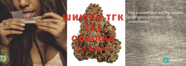 гашик Абаза